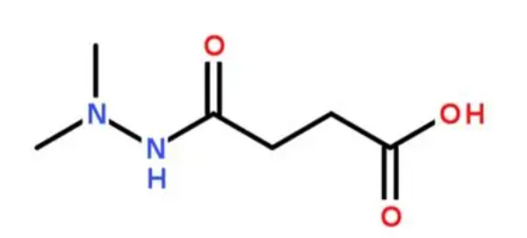 控旺塑形，增色提质！丁酰肼解锁果园花园种植新体验